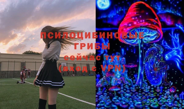 дмт Абаза