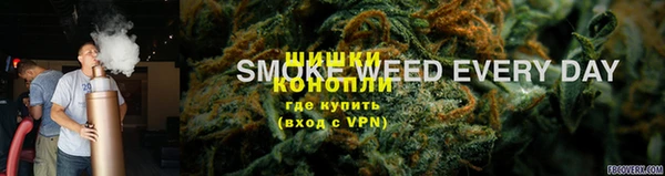дмт Алзамай