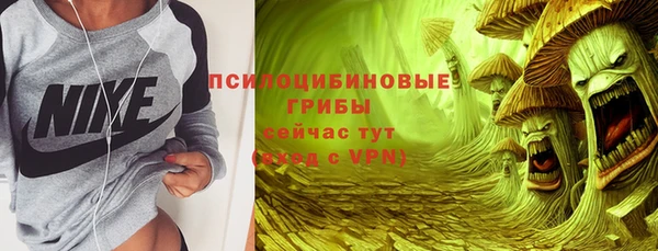 дмт Алзамай